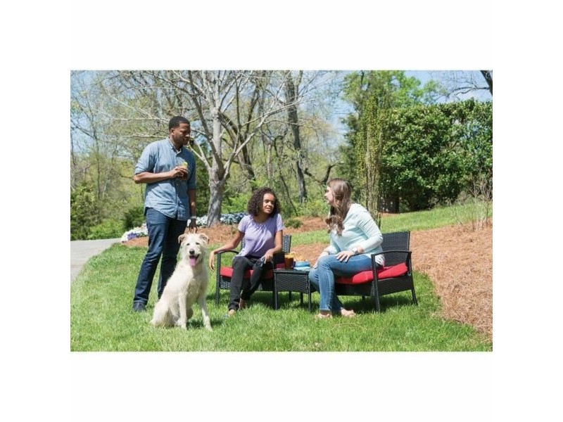 Яка против отблясъци PetSafe