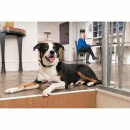 Яка против отблясъци PetSafe Син