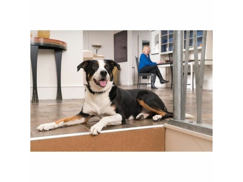 Яка против отблясъци PetSafe Син