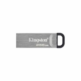 Флашка Kingston DTKN/256GB 256 GB USB 3.2 Черен 256 GB