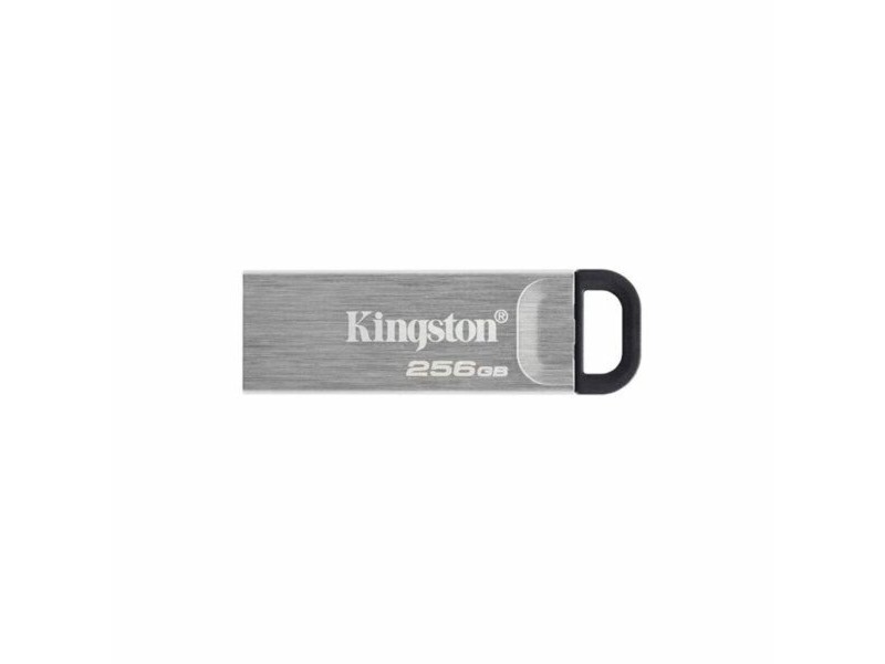Флашка Kingston DTKN/256GB 256 GB USB 3.2 Черен 256 GB