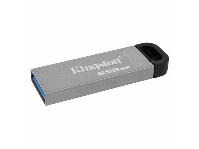 Флашка Kingston DTKN/256GB 256 GB USB 3.2 Черен 256 GB