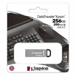 Флашка Kingston DTKN/256GB 256 GB USB 3.2 Черен 256 GB