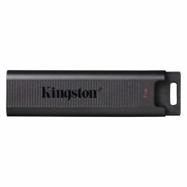 USB стик   Kingston DTMAX/1TB         Черен 1 TB (1 броя)