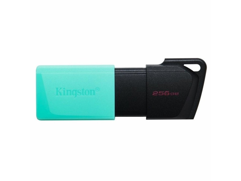 USB стик Kingston DataTraveler DTXM 256 GB 256 GB