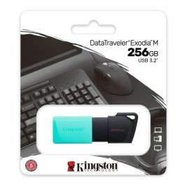 USB стик Kingston DataTraveler DTXM 256 GB 256 GB