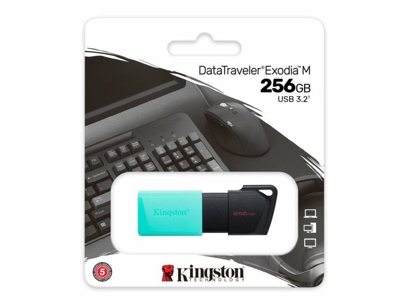 USB стик Kingston DataTraveler DTXM 256 GB 256 GB