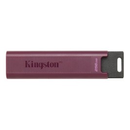 USB стик Kingston Max Червен 256 GB (1 броя)