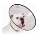 Елизаветинска яка за куче KVP Saf-T-Clear Прозрачен (17-30 cm)