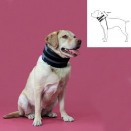 Нашийник за кучета KVP Черен (10-41 cm)