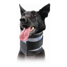 Нашийник за кучета KVP Черен (13-48 cm)
