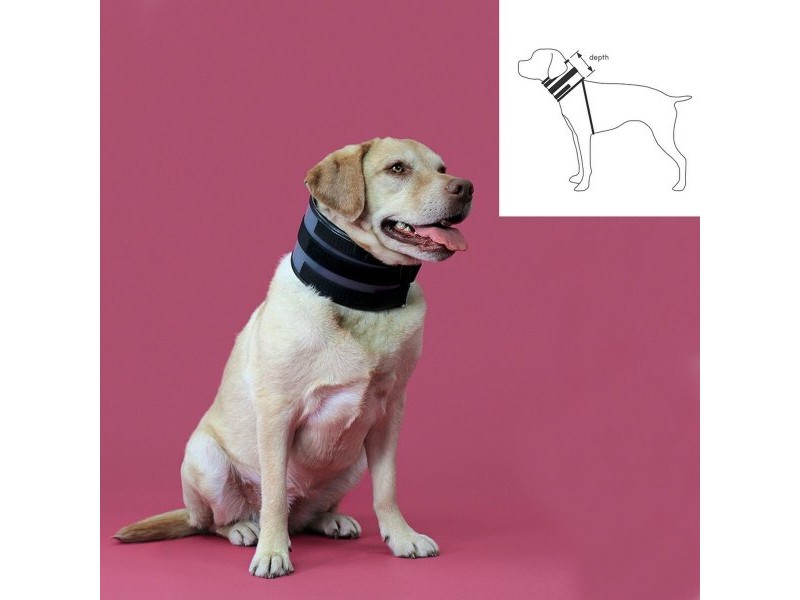 Нашийник за кучета KVP Черен (15-53 cm)
