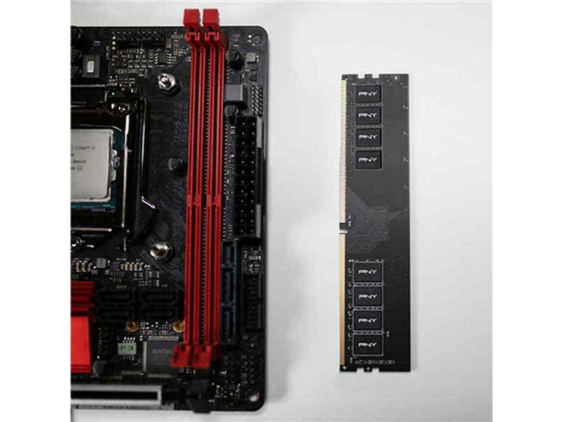 RAM памет PNY MD4GSD42666 4 GB DDR4 2666 MHz CL19 40 g 4 GB DDR4 2666 MHz CL19 RAM памет PNY MD4GSD42666 4 GB DDR4 2666 MHz CL19 40 g 4 GB DDR4 2666 MHz CL19