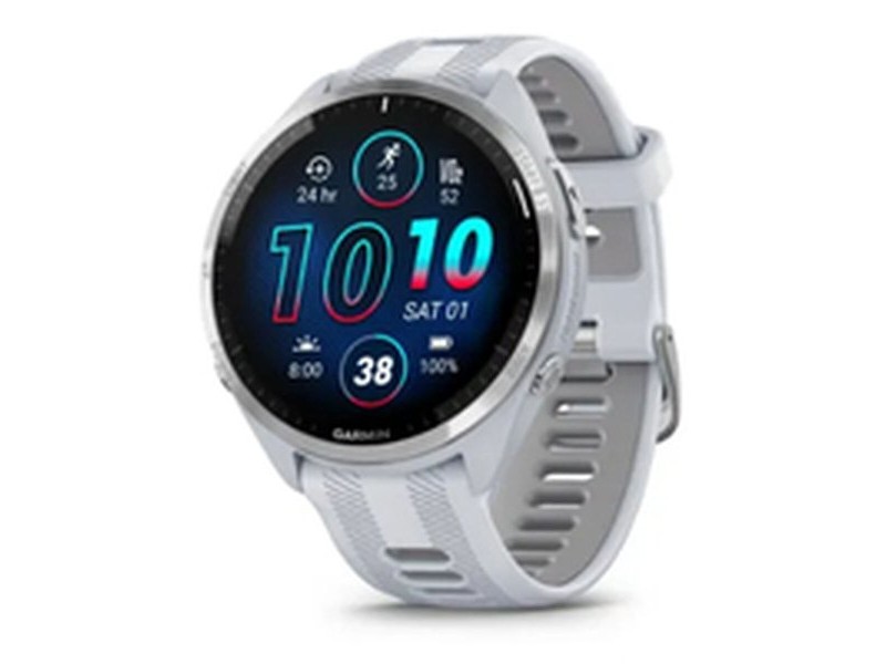 Мъжки часовник GARMIN 010-02785-03 Бял Злато Розов