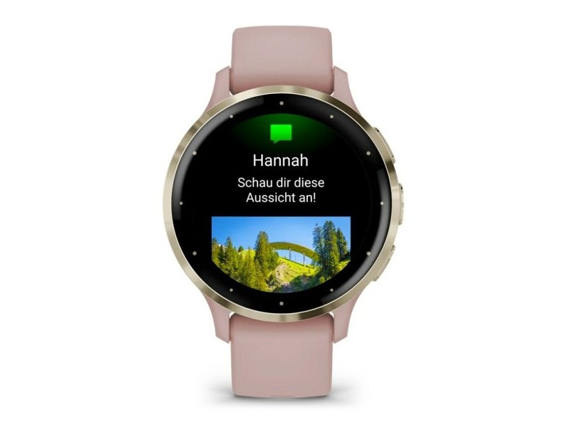Мъжки часовник GARMIN 010-02785-03 Бял Злато Розов