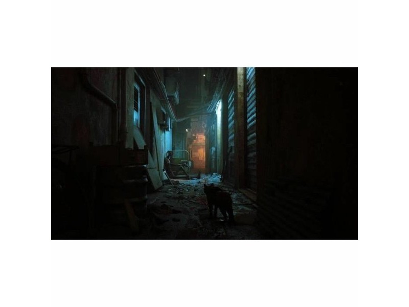 Видео игра за Switch Just For Games Stray