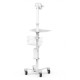 Стабилизатор за поставка Compulocks UCLGMCRSTDW