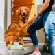 Мокри Кърпички за Домашни Любимци Earth Rated Без Парфюм 100 броя