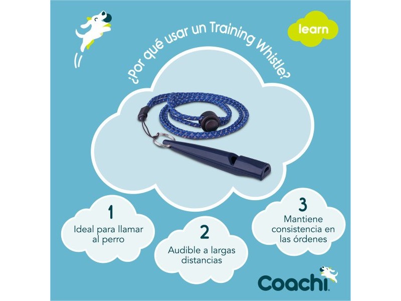 Свирка Coachi