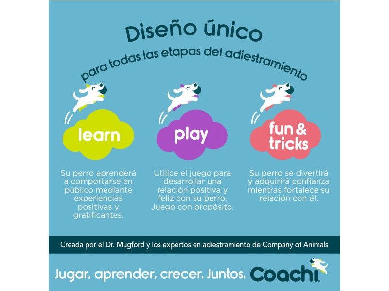 Свирка Coachi