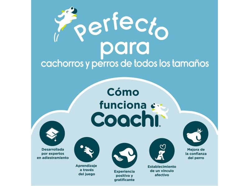 Свирка Coachi Син