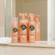 Почистваща Пяна Pet Head Quick Fix Куче Праскова (200 ml)