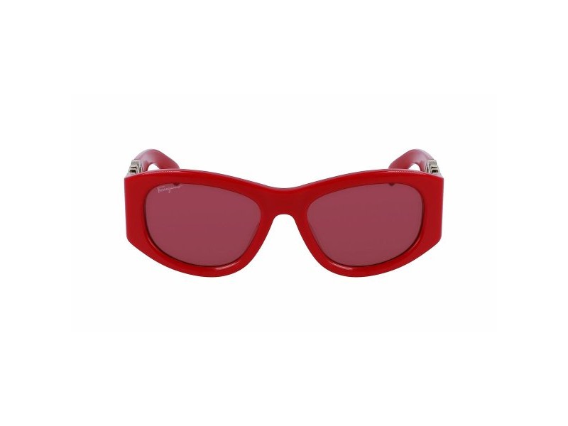 Дамски слънчеви очила Salvatore Ferragamo SF1082S-5319600 Ø 53 mm