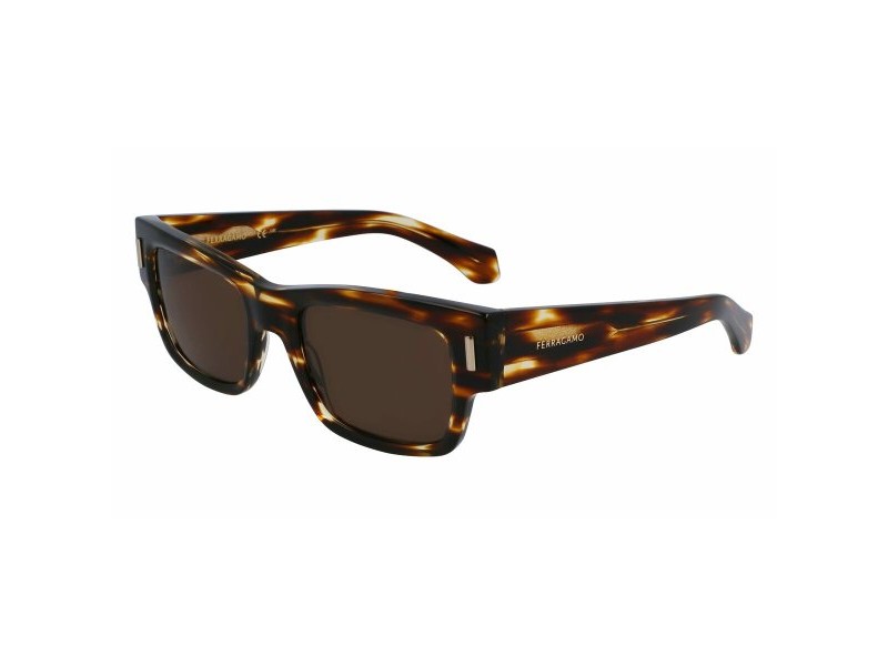 Мъжки слънчеви очила Salvatore Ferragamo SF2011S-216 Ø 53 mm