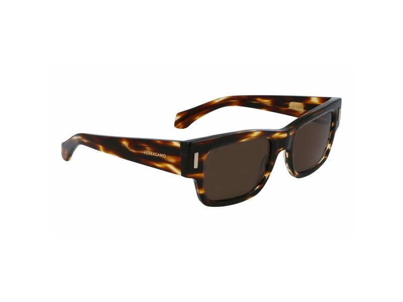 Мъжки слънчеви очила Salvatore Ferragamo SF2011S-216 Ø 53 mm