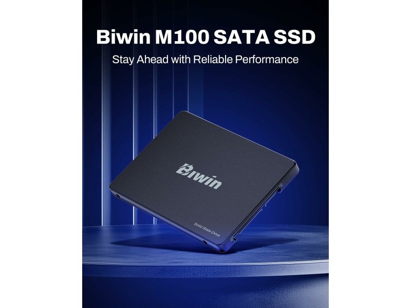 Твърд диск Biwin M100 256 GB SSD