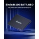 Твърд диск Biwin M100 256 GB SSD
