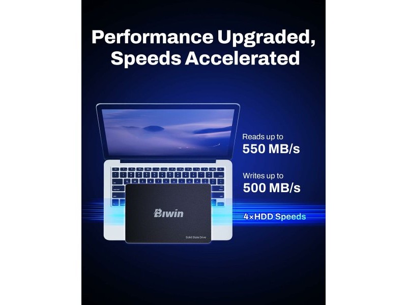 Твърд диск Biwin M100 256 GB SSD