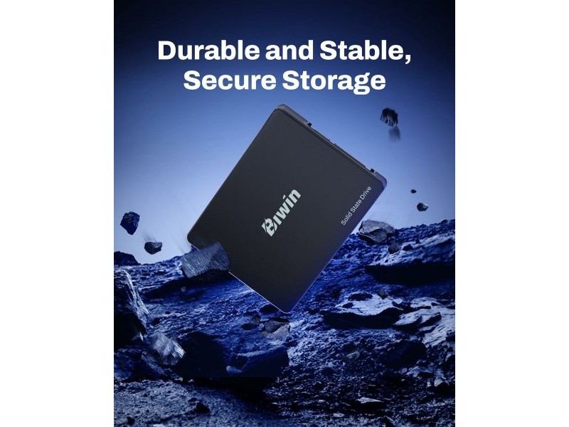 Твърд диск Biwin M100 256 GB SSD