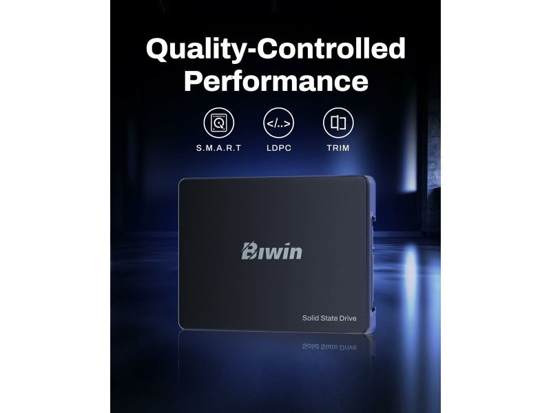 Твърд диск Biwin M100 256 GB SSD