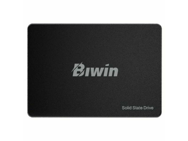 Твърд диск Biwin M100 256 GB SSD