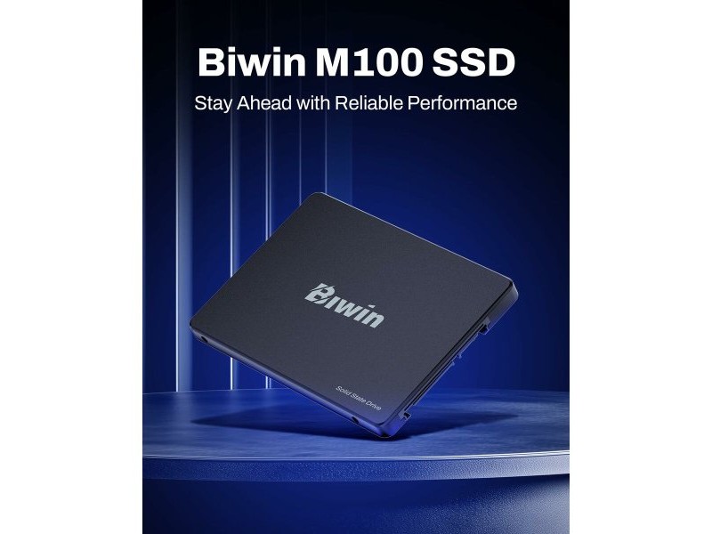 Твърд диск Biwin M100 1 TB SSD