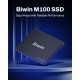 Твърд диск Biwin M100 1 TB SSD