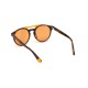 Мъжки слънчеви очила Web Eyewear WE0262-5156J Ø 51 mm