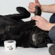 Пчелен восък Pawz MAXWAX 200 gr