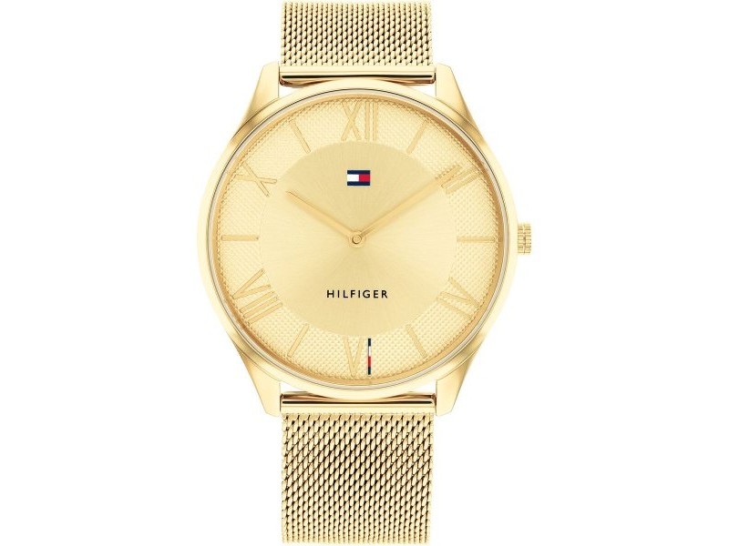 Мъжки часовник Tommy Hilfiger 1710515 Златен (Ø 43 mm)