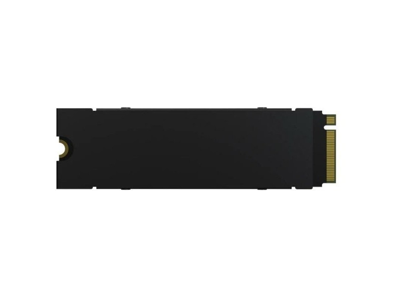 Твърд диск Predator BL.9BWWR.122 1 TB SSD