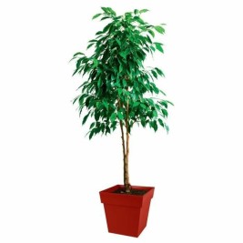 Саксия EDA   Пластмаса 39 cm