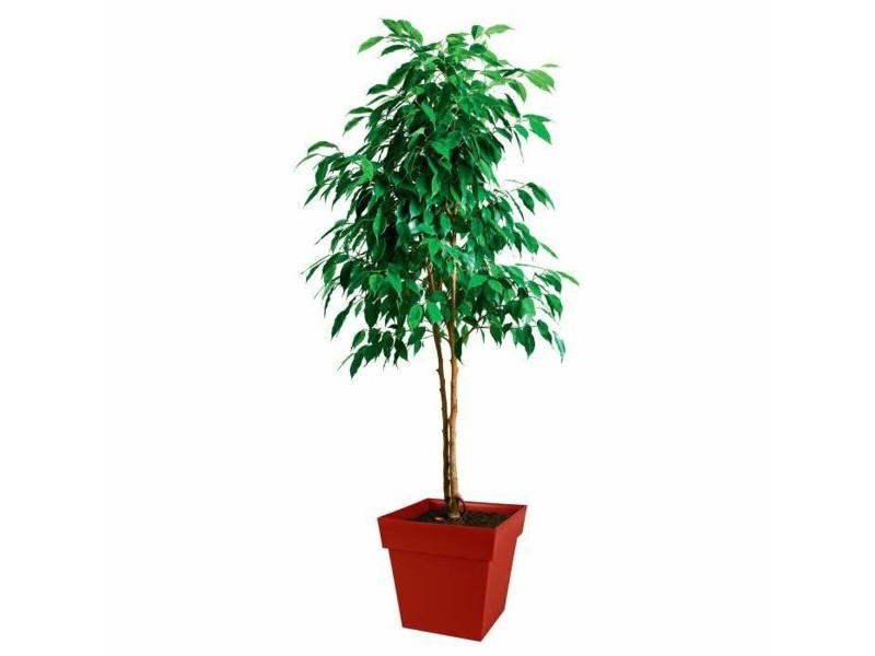 Саксия EDA   Пластмаса 39 cm
