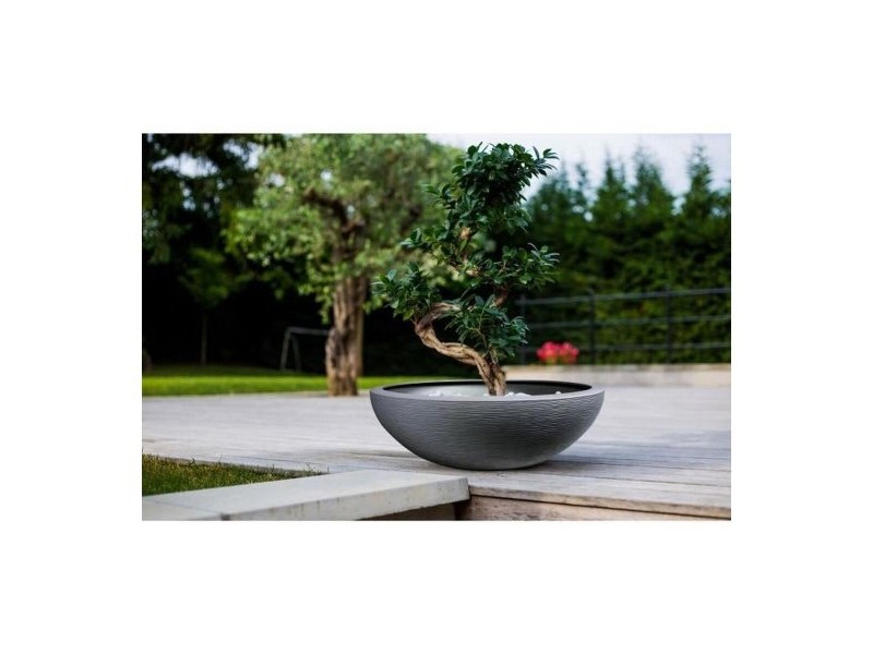 Саксия EDA Graphit Washbasin Сив Тъмно сив (Ø 59 x 21 cm)