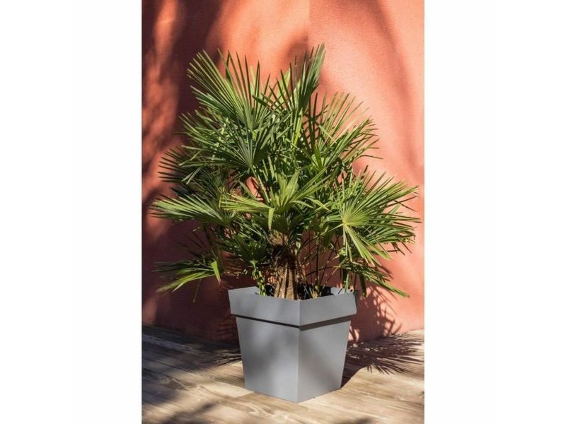 Саксия EDA Tuscany Сив Тъмно сив Квадратек Ø 50 cm