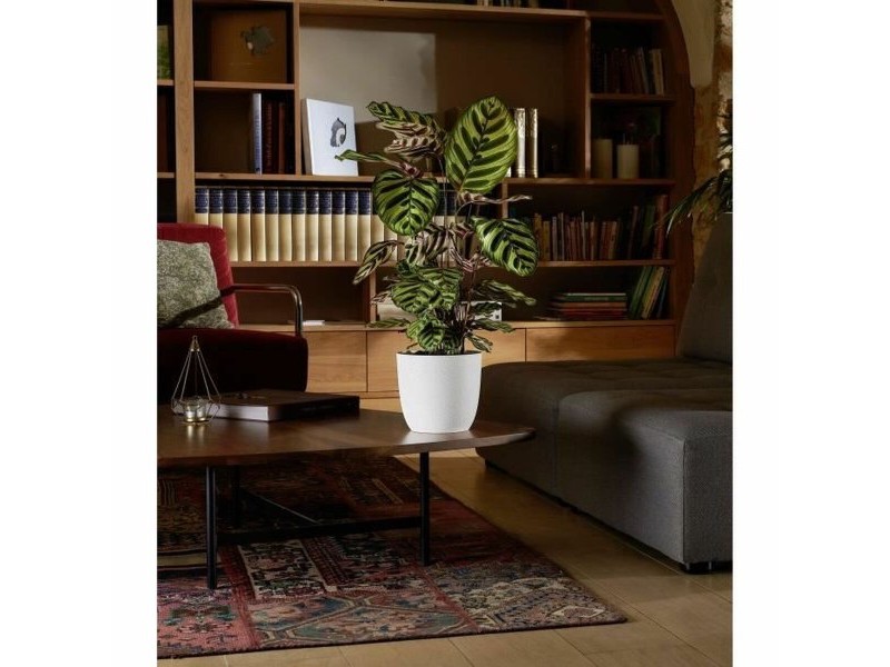 Саксия EDA Opal Chape Бял Ø 29,5 cm