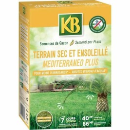 Семена KB Трева Средиземноморско 1 kg 40 m²