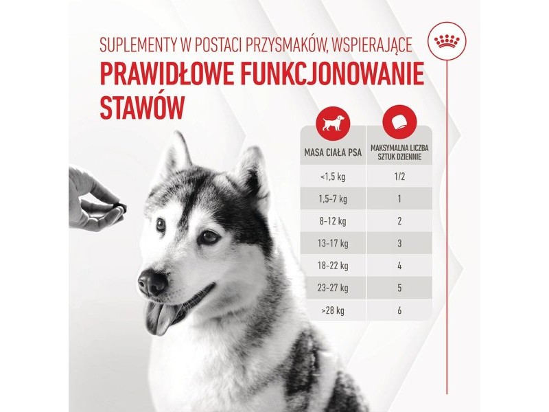 Добавка за стави Royal Canin Supplements Dog Joint & Ageing Adult 240 g