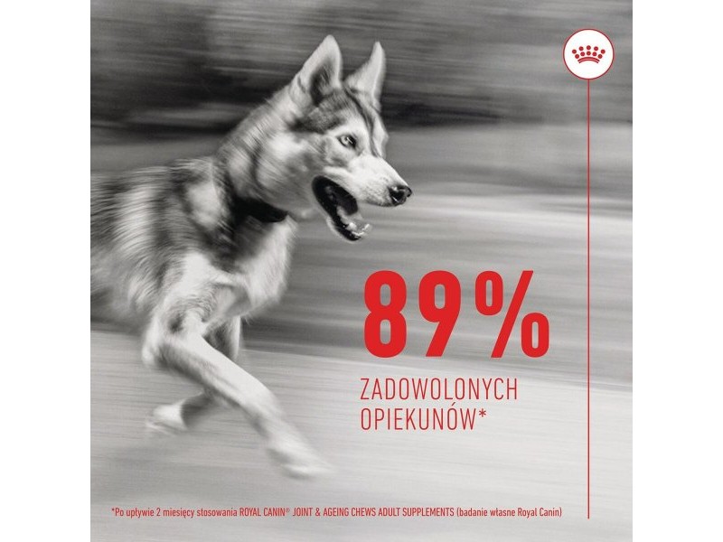 Добавка за стави Royal Canin Supplements Dog Joint & Ageing Adult 240 g