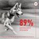 Добавка за стави Royal Canin Supplements Dog Joint & Ageing Adult 240 g